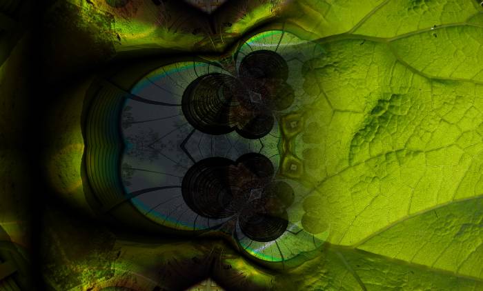 Bild